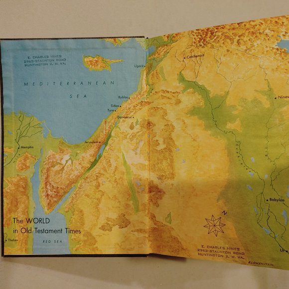 The Interpreter's Bible General Old Testament Articles Genesis - Exodus (1952) - Picture 13 of 16